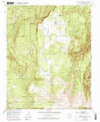 Download a high-resolution, GPS-compatible USGS topo map for Cerro Del Grant, NM (1978 edition)