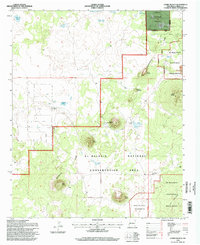 Download a high-resolution, GPS-compatible USGS topo map for Cerro Hueco, NM (1998 edition)