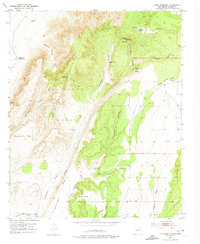 Download a high-resolution, GPS-compatible USGS topo map for Cerro Montoso, NM (1975 edition)