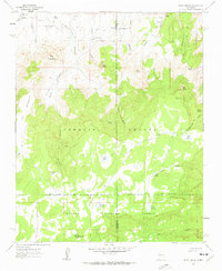 Download a high-resolution, GPS-compatible USGS topo map for Cerro Parido, NM (1963 edition)
