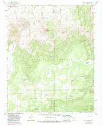 Download a high-resolution, GPS-compatible USGS topo map for Cerro Parido, NM (1989 edition)