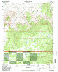 Download a high-resolution, GPS-compatible USGS topo map for Cerro Parido, NM (1998 edition)