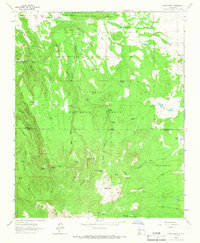 Download a high-resolution, GPS-compatible USGS topo map for Cerro Pelon, NM (1966 edition)