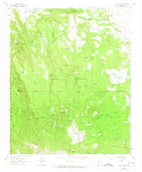 Download a high-resolution, GPS-compatible USGS topo map for Cerro Pelon, NM (1974 edition)