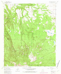 Download a high-resolution, GPS-compatible USGS topo map for Cerro%20Pelon, NM (1981 edition)