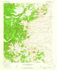 Download a high-resolution, GPS-compatible USGS topo map for Cerro Tinaja, NM (1963 edition)