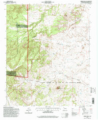 Download a high-resolution, GPS-compatible USGS topo map for Cerro Tinaja, NM (1998 edition)