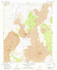 Download a high-resolution, GPS-compatible USGS topo map for Cerro Verde, NM (1984 edition)