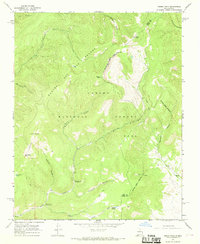Download a high-resolution, GPS-compatible USGS topo map for Cerro Vista, NM (1969 edition)