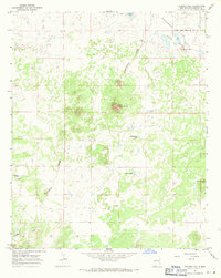 Download a high-resolution, GPS-compatible USGS topo map for Chimney Hill, NM (1971 edition)