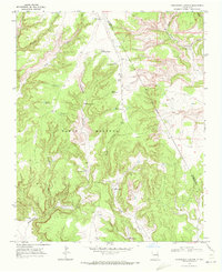 Download a high-resolution, GPS-compatible USGS topo map for Chinaberry Canyon, NM (1972 edition)