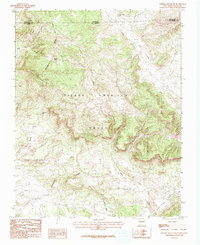 Download a high-resolution, GPS-compatible USGS topo map for Chromo Mountain, NM (1983 edition)