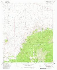 Download a high-resolution, GPS-compatible USGS topo map for Church Mountain, NM (1982 edition)