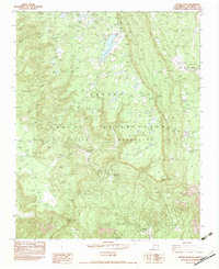 Download a high-resolution, GPS-compatible USGS topo map for Chuska Peak, NM (1983 edition)