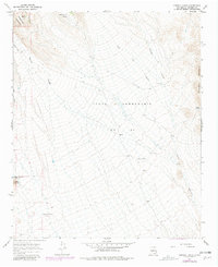 Download a high-resolution, GPS-compatible USGS topo map for Cienega Ranch, NM (1981 edition)