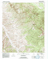 Download a high-resolution, GPS-compatible USGS topo map for Circle Mesa, NM (1992 edition)