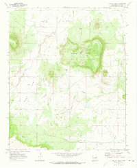 Download a high-resolution, GPS-compatible USGS topo map for Circles S Mesa, NM (1973 edition)