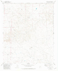Download a high-resolution, GPS-compatible USGS topo map for Cistern Draw, NM (1981 edition)
