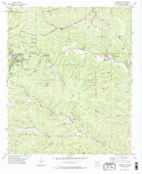 Download a high-resolution, GPS-compatible USGS topo map for Cloudcroft, NM (1978 edition)