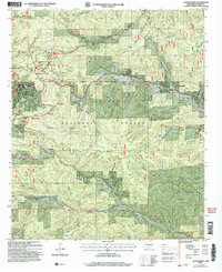 Download a high-resolution, GPS-compatible USGS topo map for Cloudcroft, NM (2006 edition)