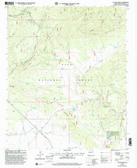 Download a high-resolution, GPS-compatible USGS topo map for Collins Parks, NM (2002 edition)