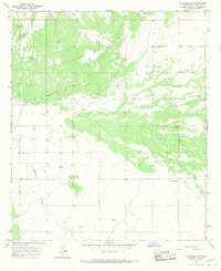 Download a high-resolution, GPS-compatible USGS topo map for Columbus NE, NM (1967 edition)