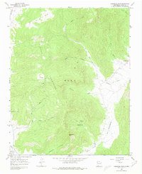 Download a high-resolution, GPS-compatible USGS topo map for Comanche Peak, NM (1980 edition)