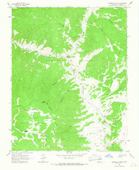 Download a high-resolution, GPS-compatible USGS topo map for Comanche Point, NM (1967 edition)