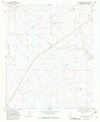 Download a high-resolution, GPS-compatible USGS topo map for Conejo Creek West, NM (1982 edition)
