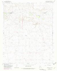 Download a high-resolution, GPS-compatible USGS topo map for Cooper Ranch, NM (1982 edition)