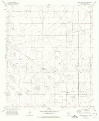 Download a high-resolution, GPS-compatible USGS topo map for Cooper-Good Ranch, NM (1976 edition)