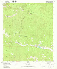 Download a high-resolution, GPS-compatible USGS topo map for Copperas Peak, NM (1979 edition)
