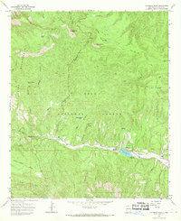 Download a high-resolution, GPS-compatible USGS topo map for Copperas Peak, NM (1969 edition)