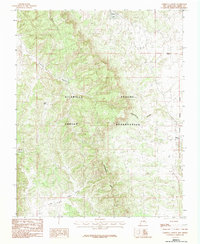Download a high-resolution, GPS-compatible USGS topo map for Cordova Canyon, NM (1983 edition)