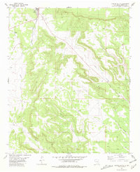 Download a high-resolution, GPS-compatible USGS topo map for Corona South, NM (1981 edition)