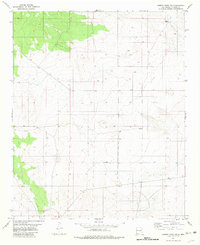 Download a high-resolution, GPS-compatible USGS topo map for Cowboy Mesa NW, NM (1981 edition)