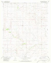 Download a high-resolution, GPS-compatible USGS topo map for Cowboy Mesa SW, NM (1981 edition)