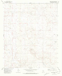 Download a high-resolution, GPS-compatible USGS topo map for Cowboy Mesa, NM (1981 edition)