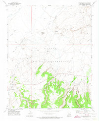Download a high-resolution, GPS-compatible USGS topo map for Coyote Canyon, NM (1974 edition)