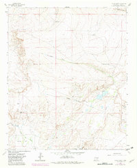 Download a high-resolution, GPS-compatible USGS topo map for Coyote Draw, NM (1982 edition)