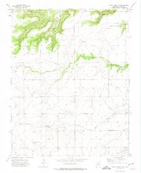 Download a high-resolution, GPS-compatible USGS topo map for Cross L Ranch SW, NM (1975 edition)