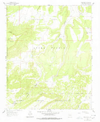 Download a high-resolution, GPS-compatible USGS topo map for Crow Point, NM (1978 edition)