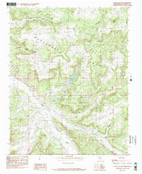 Download a high-resolution, GPS-compatible USGS topo map for Cutter Canyon, NM (1985 edition)