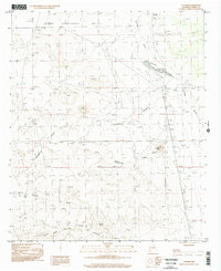 Download a high-resolution, GPS-compatible USGS topo map for Cutter, NM (2002 edition)