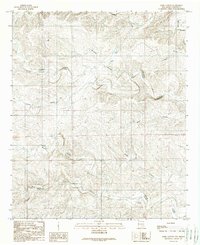 Download a high-resolution, GPS-compatible USGS topo map for Dark Canyon, NM (1989 edition)