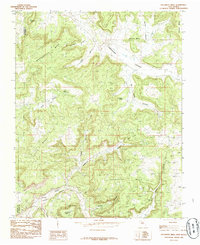Download a high-resolution, GPS-compatible USGS topo map for Delgadita Mesa, NM (1985 edition)