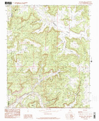 Download a high-resolution, GPS-compatible USGS topo map for Delgadita Mesa, NM (1985 edition)