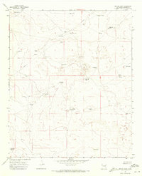 Download a high-resolution, GPS-compatible USGS topo map for Denton Camp, NM (1971 edition)