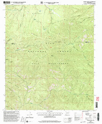 Download a high-resolution, GPS-compatible USGS topo map for Diablo Range, NM (2002 edition)