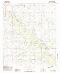 Download a high-resolution, GPS-compatible USGS topo map for Dog Lake, NM (1985 edition)